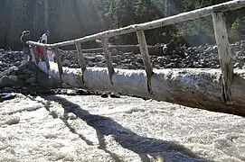 Log bridge over the Nisqually River, United States, made of one large log with handrail