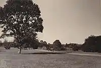 Cubbon Park, Bengaluru (1890). Curzon Collection's 'Souvenir of Mysore Album'