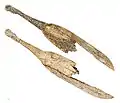 Spoon engraved in reindeer antler, Magdalenian c. 17,000 – c. 12,000 BCE