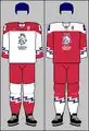 2021– IIHF jerseys[needs update]