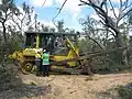 D6 5EX dozer (plant P3 - Swan Coastal 53), Moore River National Park, October 2013.
