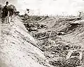 Dead Confederates in the "Bloody Lane" road.