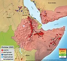 Position and trajectory of the remaining locust swarms in the Horn of Africa and Yemen, October 2020