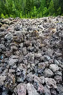 Rubbly moss-covered lava rock with trees in the background.