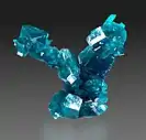 Pristine dioptase crystals,  Tsumeb Mine, Tsumeb, Namibia. 4 × 4 × 1&nbsp;cm
