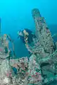 Diver near an old gun mount