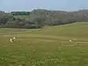 Combe Wood and Linkenholt Hanging