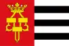 Flag of Drachten