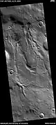 Channels, as seen by HiRISE under HiWish program.  These channels are near the ejecta of a crater; hence, they may have formed from warm ejecta melting ground ice.