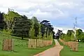 Elm Walk by Petersham Gate, Richmond Park: 47 'New Horizon' shortly after planting (2018)