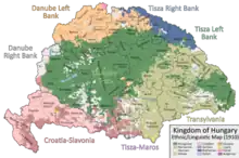 Ethnic Map of Hungary 1910 with Counties