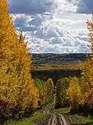 Autumn