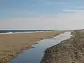 Looking south at Fenwick Island beach
