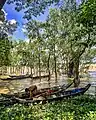 Seasonal flooding