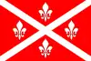 Flag of Florești