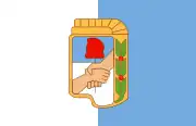 Flag