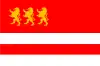 Flag of Marneuli