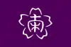 Flag of Minamiaiki