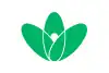 Flag of Miyama