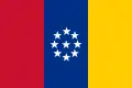 Flag of United States of New Granada (1861)