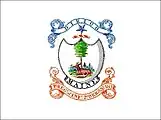 Flag of the 1st Maine Militia from 1822 to 1861