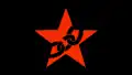 Combat Organization of Anarcho-Communists (BOAK)