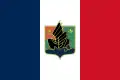 Flag of the Nùng Autonomous Territory (1947–1954)