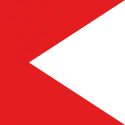 Flag of Nagpur