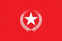 Flag of the VP