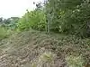 Flixton Quarry