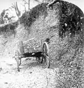 Black and white photo of a mound of oyster shells, approximately 20 feet high, covered by vines at the top and the middle exposed. A wooden wheelbarrow sits in front of it.