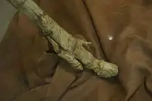 Fossil of three-toed Hipparion lower hind leg, held up on a stand and against a brown cloth background