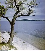 View towards Vilm from Rugia Island