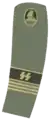 Verbandsgruppenführer