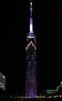 At night with sakura illumination