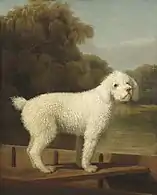 White Poodle in a Punt (ca. 1780), oil on canvas, 127 x 101.5&nbsp;cm., National Gallery of Art