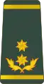 გენერალ-მაიორიGeneral-maiori(Georgian Land Forces)
