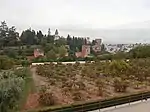 Las Huertas, the market gardens on the terraced hillside below the Generalife