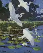 Great White Herons 1923