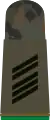 Oberstabsgefreiter FA(Army corporal sergeant aspirant, Mountain Infantry, field uniform mounting strap)