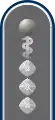 Stabsarzt(Army Staff Doctor, service uniform epaulette)