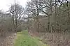 Ham Home Wood