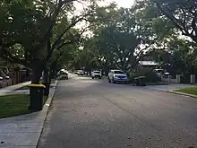tree lined residential street