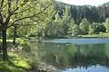 Helmbachweiher lake