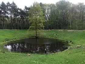 Crater of the 1917 deep mine fired at Caterpillar