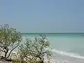 Another view of the Gulf