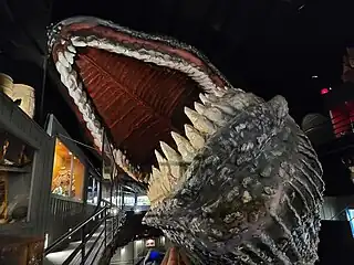 Heritage of the Sea exhibit at House on the Rock