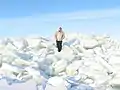 Example of hummocky ice: an accumulation of ice blocks, here about 20 to 30&nbsp;cm (7.9 to 11.8&nbsp;in) in thickness (with a thin snow cover).