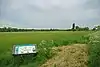 Hunsdon Mead