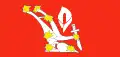 Flag of the Irish Republican Socialist Party and the Irish People's Liberation Organisation